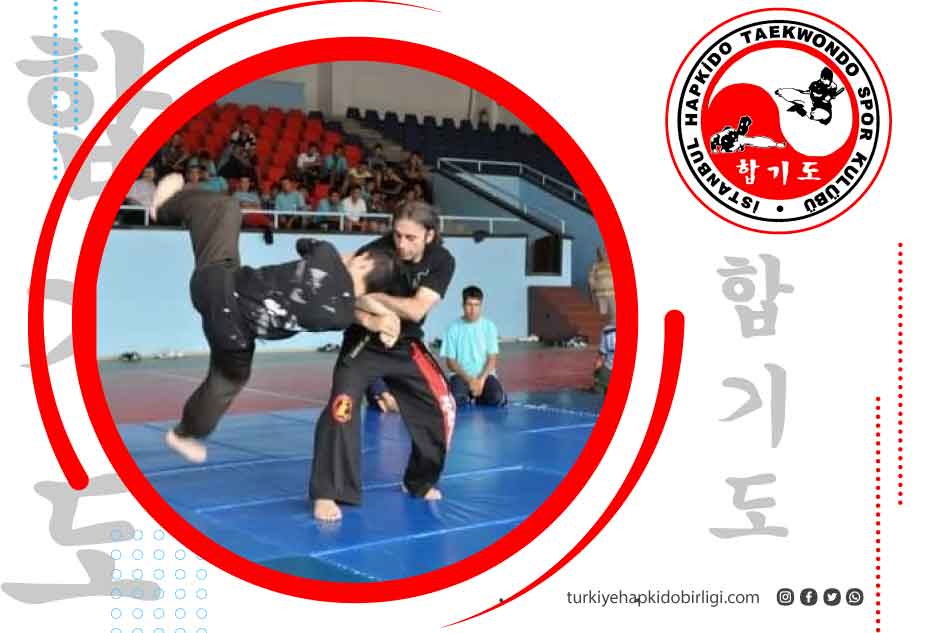 Hapkido Nedir?