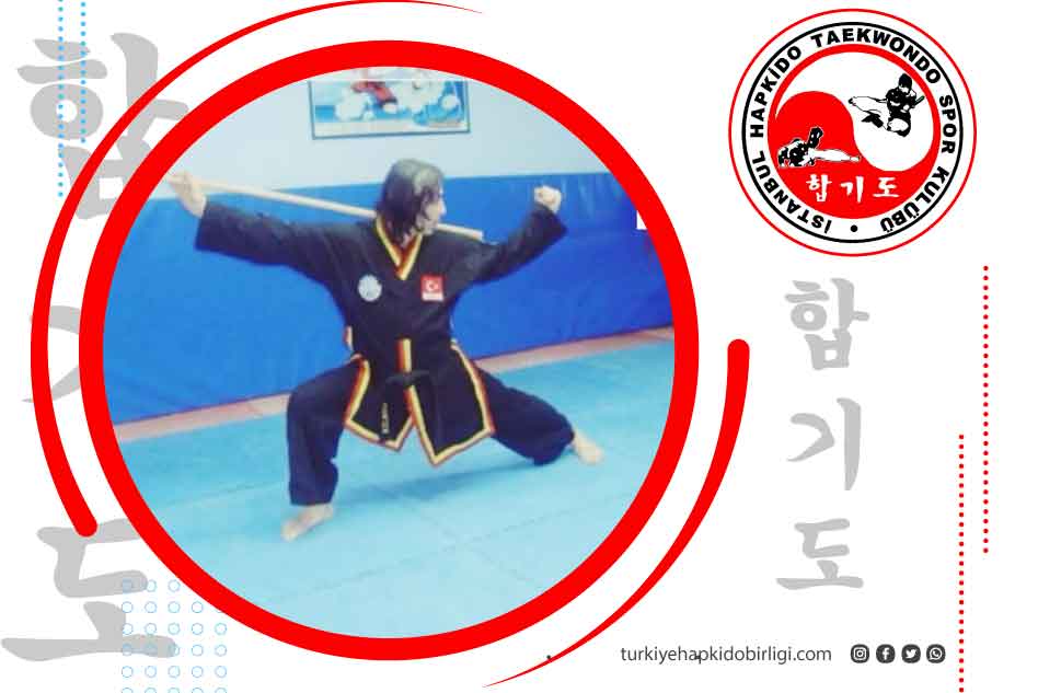 Neden Hapkido?